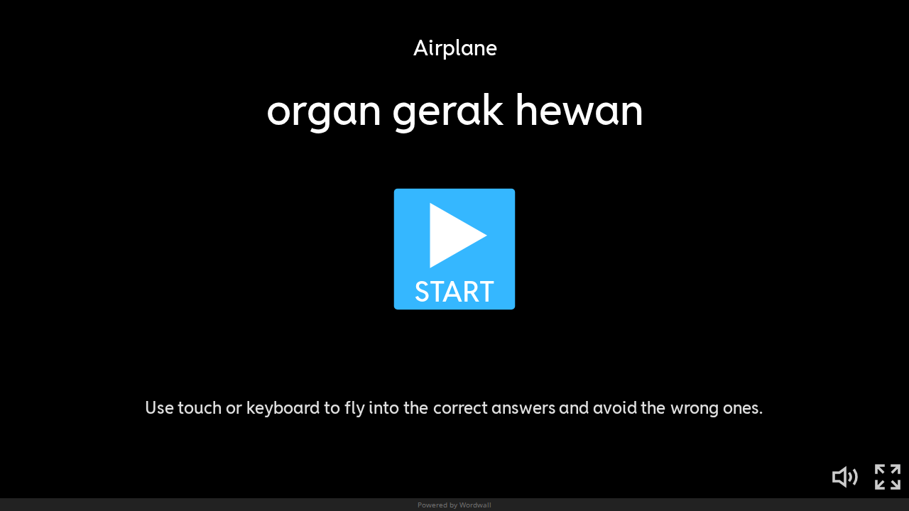 Organ-Organ Gerak pada Hewan