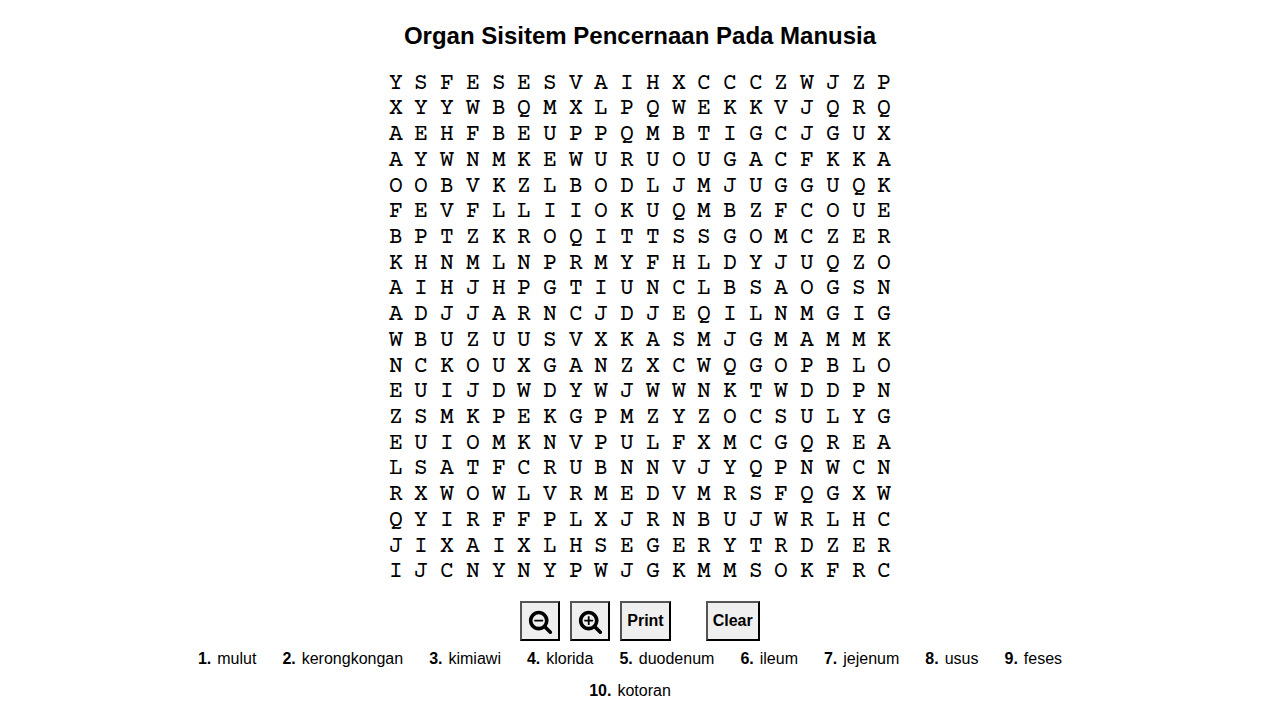 Organ Sistem Pencernaan Manusia